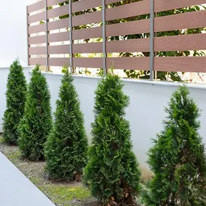 Apart Otel Casa Maresol, Nea Skioni